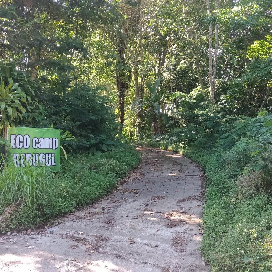 לינה וארוחת בוקר Eco Bedugul Adventurer Camp מראה חיצוני תמונה